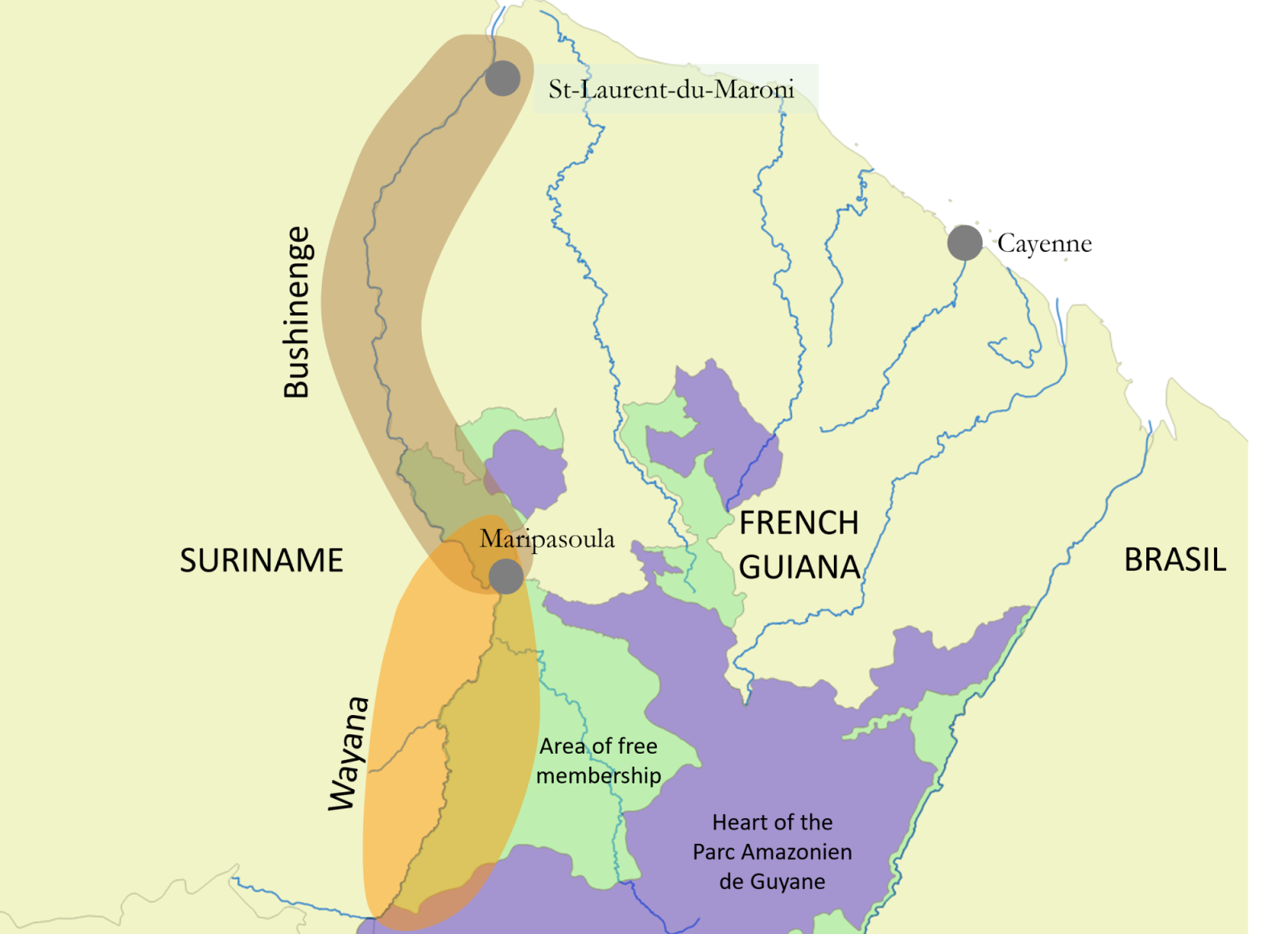 Maroni 2021 - Global inventory of life on 600 km of Amazonian forest ...