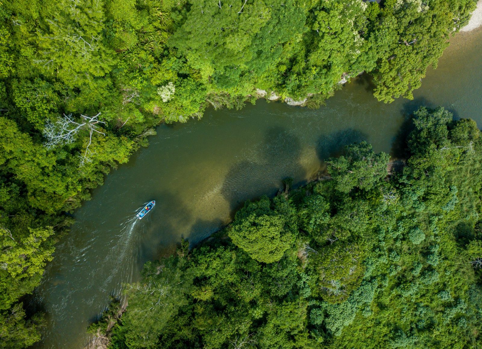 colombia-at-the-heart-of-biodiversity-vigilife