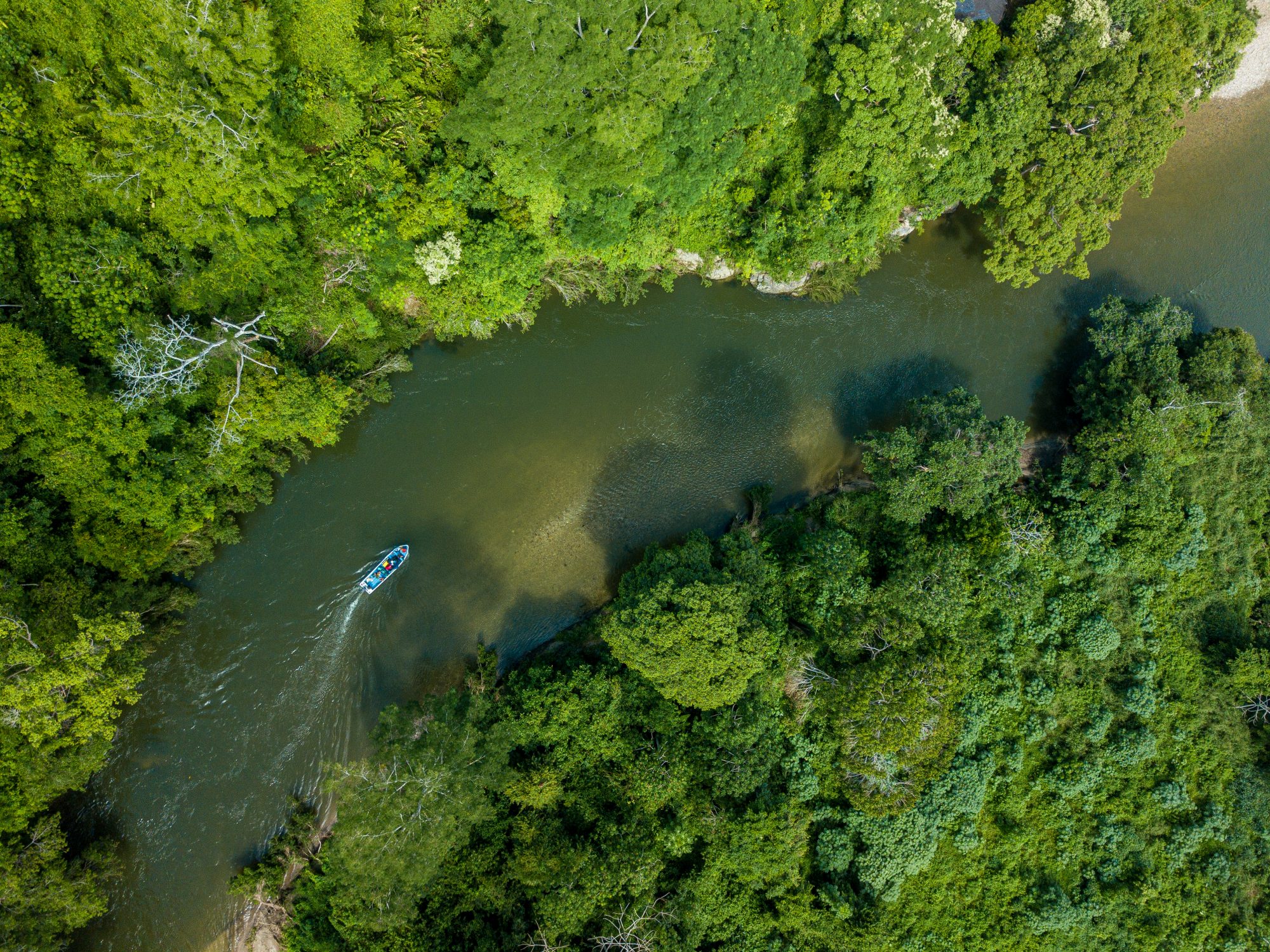 Colombia - at the heart of biodiversity - Vigilife